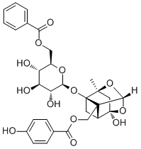 Benzoyloxypaeoniflorin