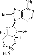 8-Bromo-cAMP (sodium salt)